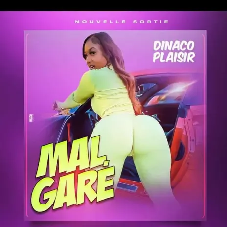 Dinaco Plaisir