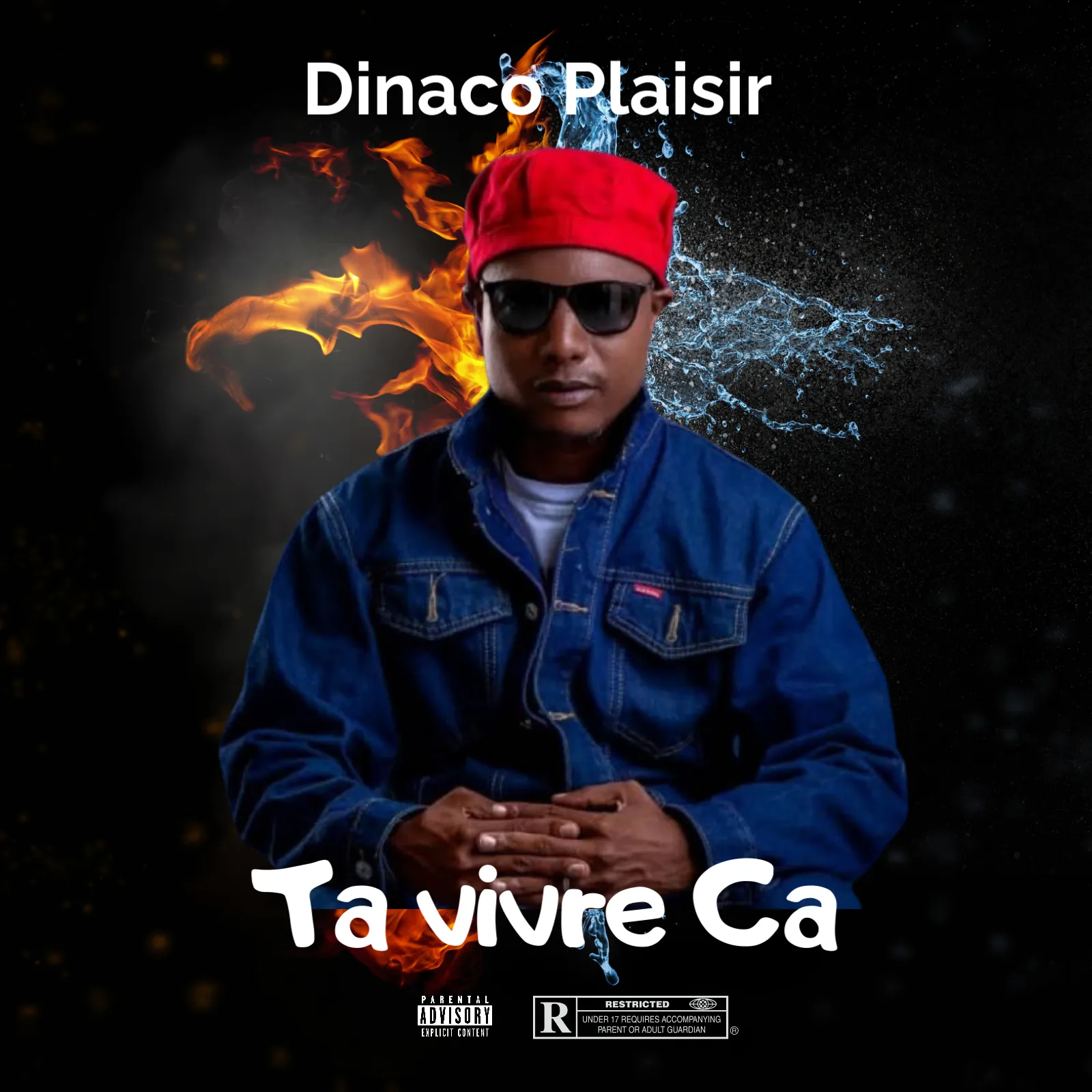 Dinaco Plaisir